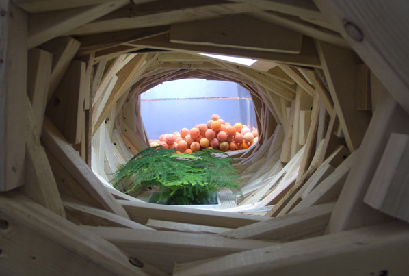 Phoebe Washburn, Nunderwater Nort Lab, 2011