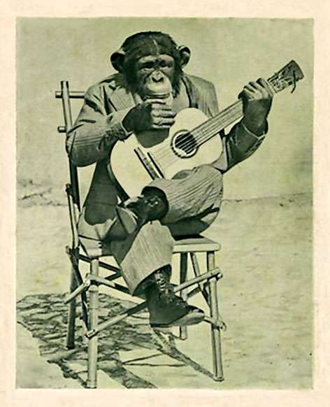 Image courtesy of Cristina Guerra Contemporary Art, Lisbon