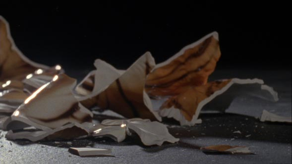 Beatrice Gibson, The Tiger's Mind, 2012