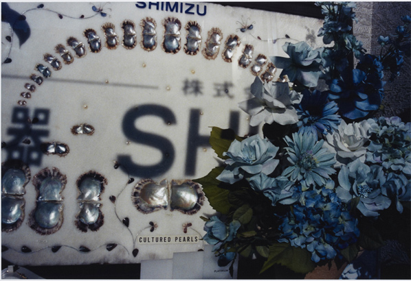 Erika Yoshino, Untitled, 2011-2012