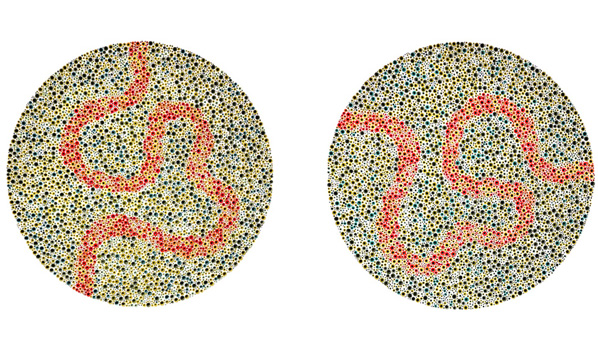 Stefana McClure, Colourblind Drawings: Ed & Eli, 2013