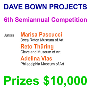 Dave Bown Projects - 6th Semiannual Competition - Prizes $10,000