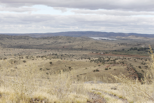 Photo: Cathy Hattersley