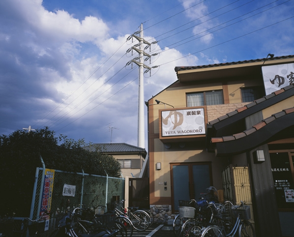 Yutaka Takanashi, AQUA TREE, 2010 / 2013