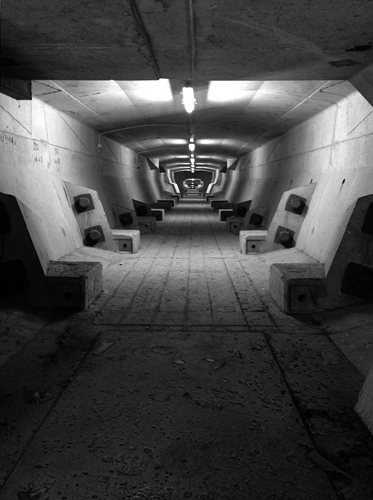 Cardiff Contemporary 2014