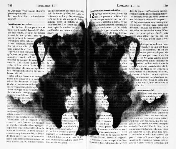 Mounir Fatmi, Divine Illusion, 2013-2014