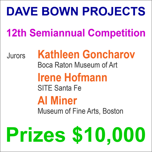 Dave Bown Projects - 12th Semiannual Competition