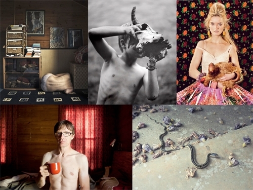 Image Credits Top: Samuel Moulin | Heather Bowes | Isabel Pinto; Bottom: Leon Alesi | Donna Rosser