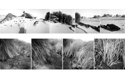 Speaking Subject III, 2001