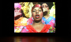 peripheral stories, 2005,installation shot peripheral stories, 2005,installation shot