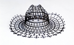 Stetson, 2003 Stetson, 2003