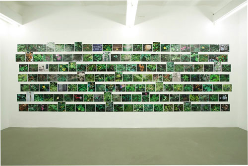 Hans Haacke, 224 Nahaufnahmen der Flora und Fauna von 2001-2008C-Print, je 35 x 27,5 cm, © the artist, courtesy Galerie Sfeir-Semler Hans Haacke, 224 Nahaufnahmen der Flora und Fauna von 2001-2008<br class=