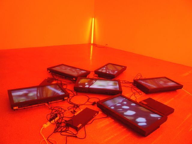 Diana Thater, Untitled Video wall, 2008<br class=