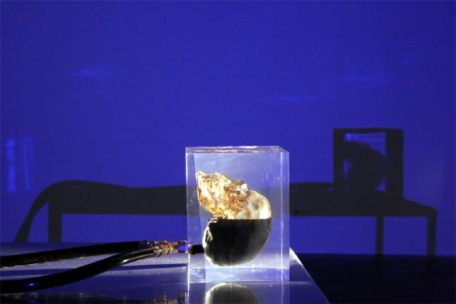 Andrei Molodkin, Oil Evolution (Human Skull), 2008<br class=