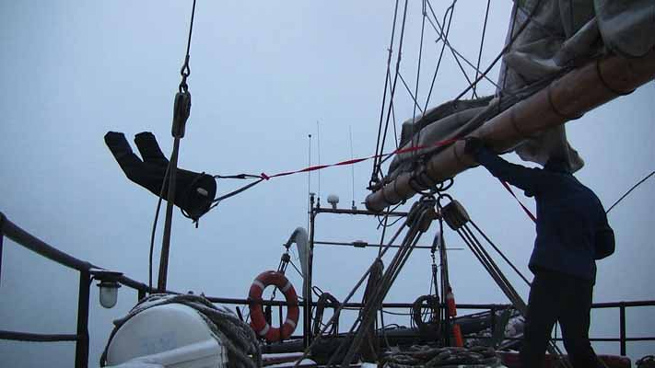 Blow-hard 2010 <br class=