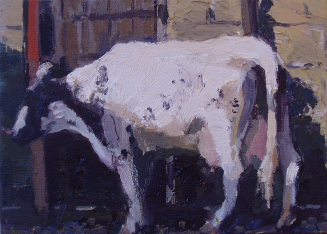 Evening Shadow - Evening Sun 2014<br class=