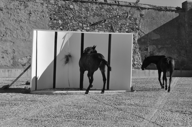 'Foist' (2014)<br class=