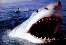 Still from Footprints