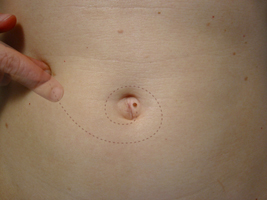 flick - digital animation - 2005