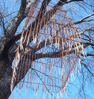 People Trap No. 1 (detail)