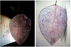 Ljusskygga faaglar, 2009