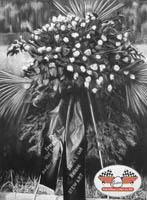 Better to Burn Out than to Fade Away,2006