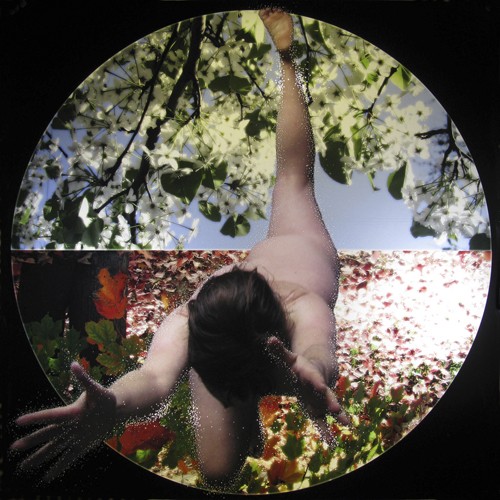 Spring/Autmn, 2011<br/>Pierced Lightjet transparency<br/>24" x 24"<br/>