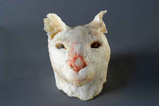 Cat With Raw Nose 2007 beeswax sculpture Cat With Raw Nose 2007 beeswax sculpture