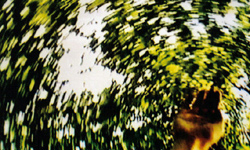 <i>BODYSIGHT</i> (2001) screenshot (detail)