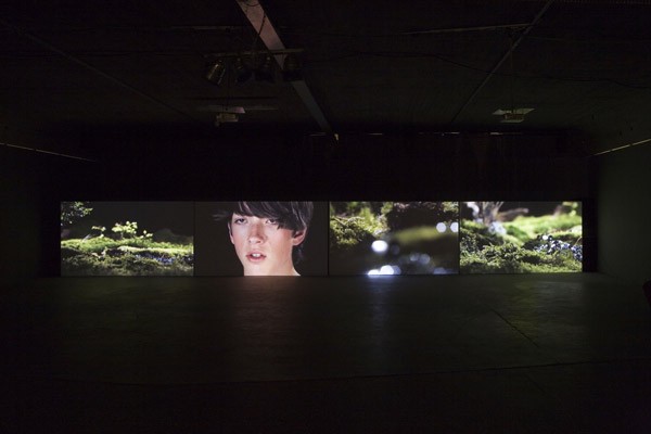 Acid and Ice Cream (Installation View ZKMax), 2008<br/>12 min, color, 4 channel projection<br/>180 cm x 300 cm, Edition: 5<br/>