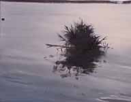 Untitled-corner. Oil on board. 38