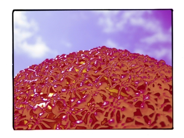 'Sum Rise' 2009<br/>400 x 540 Limited Edition Print <br/>