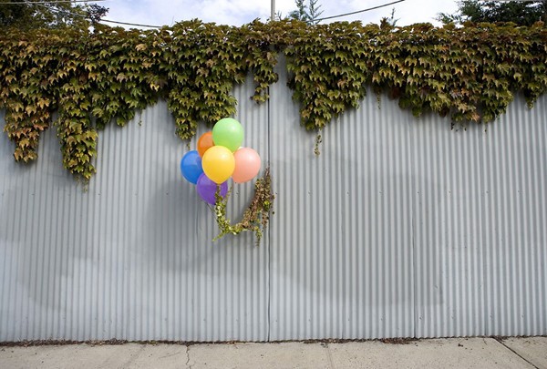 William Lamson, Intervention<br/>