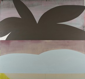 velvet side of midnight